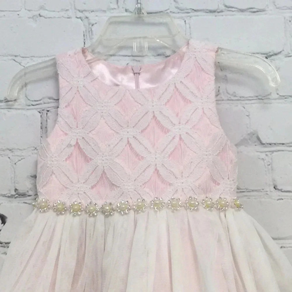 American Princess Pink Tulle Dress size 18M - Picture 2 of 7
